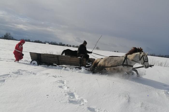 Через снігові замети на Житомирщині хвору дівчину довелося везти до лікарні підводою, фото: ДСНС