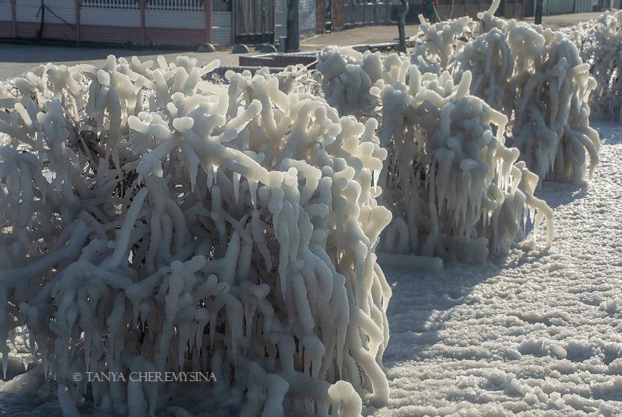 Набережная Бердянска превратилась в ледовую скульптуру. Фото: Татьяна Черемисина в Facebook