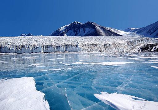 Неизвестные науке животные найдены в ледниках Антарктики