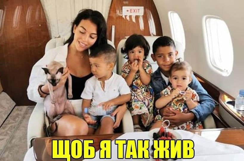 Кот Роналду. Фото: Брутальный футбол