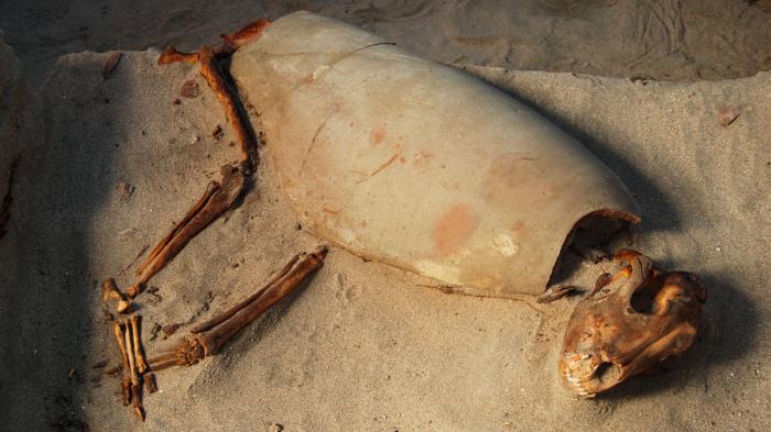 В Египте нашли древнее кладбище домашних животных, фото: ScienceMag