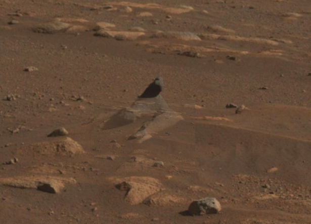 Марсохід надіслав нові приголомшливі фото Червоної планети. Фото: NASA