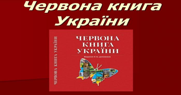 Готується оновлена Червона книга України, фото: «На урок»