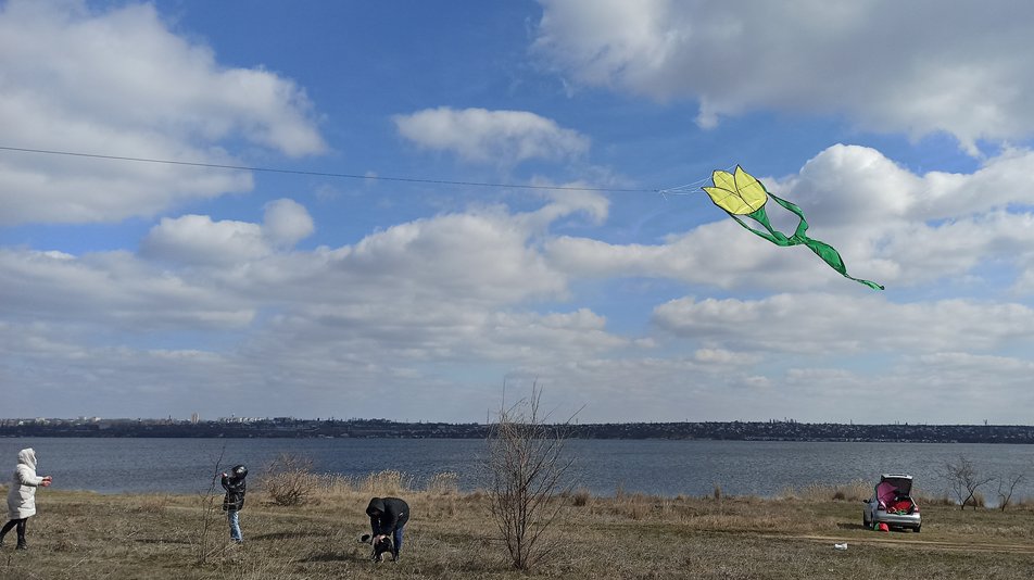 Гігантські тюльпани у небі на Миколаївщині. Фото: Суспільне