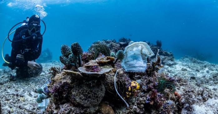 Кораловий риф у Філіппінах всіяли медичні маски, фото: BBC 