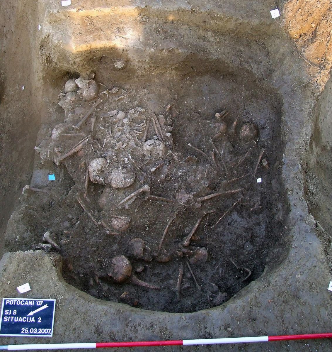 Обнаруженные на месте массового убийства скелеты, фото: Университет Вайоминга