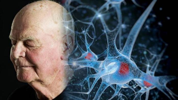 Причину старения мозга выяснили ученые. Фото: ktk.kz