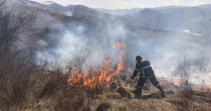 В Україні посилена відповідальність за випалювання сухої трави, фото: ДСНС