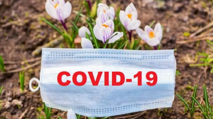 Как будет развиваться эпидемия COVID-19 в Украине — прогноз ученых