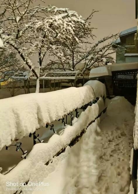 Снег в Болгарии