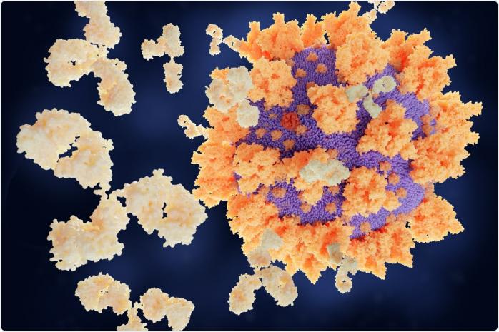 Південноафриканський штам коронавірусу гірше реагує на вакцинацію — біолог — коронавірус у світі