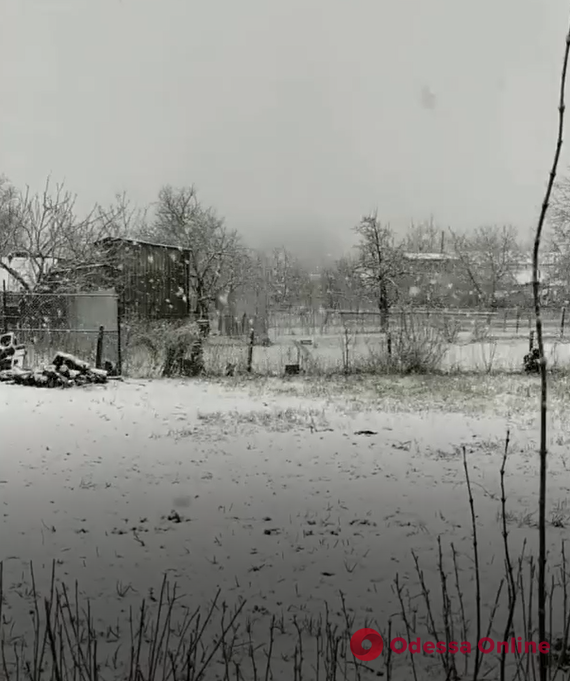 Одесскую область засыпало снегом. Скриншот с видео