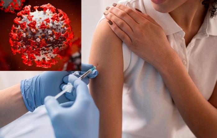Нужно ли проверять уровень антител после COVID-вакцинации, рассказал иммунолог