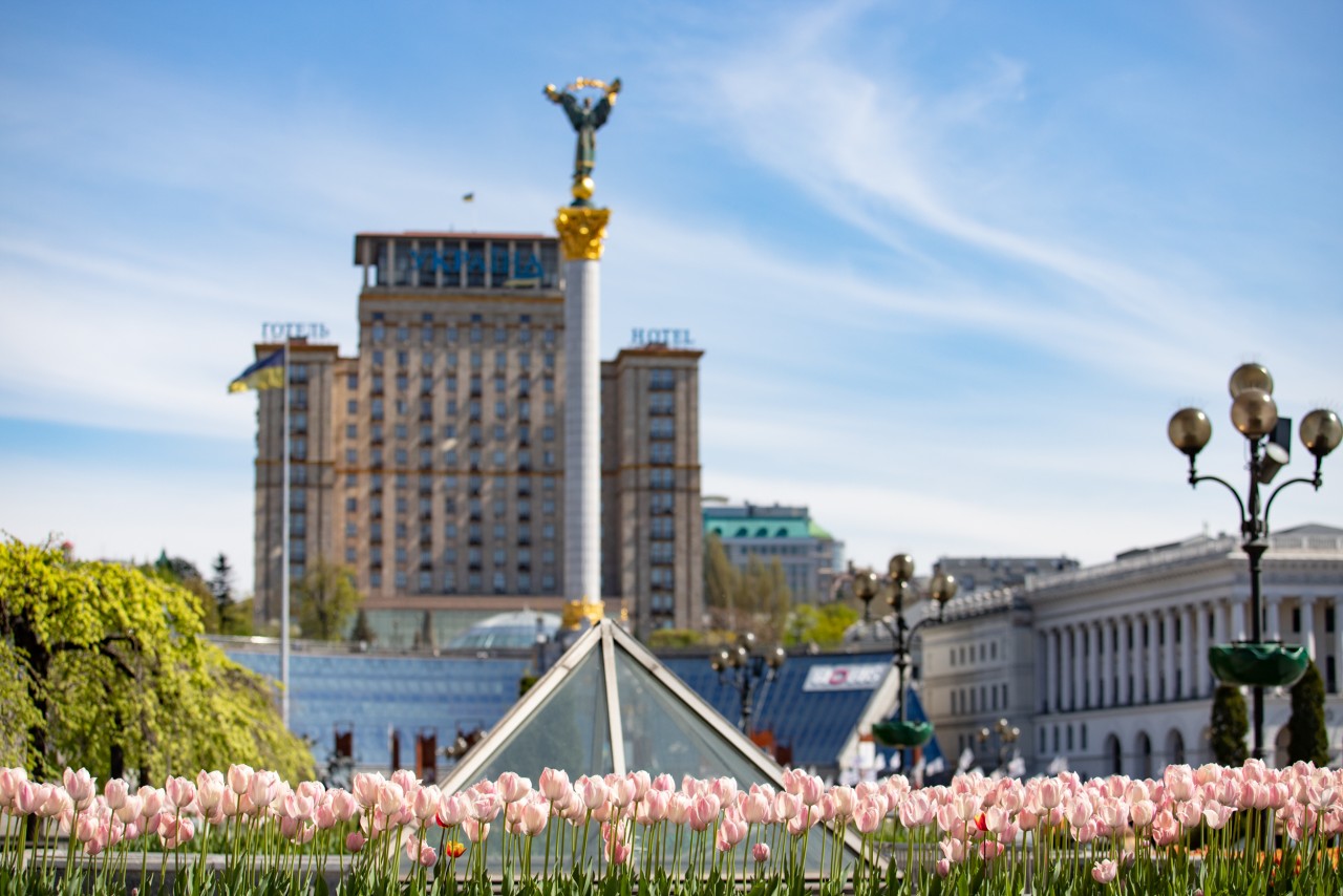 Тюльпанное море в честь Небесной сотни расцвело в Киеве 