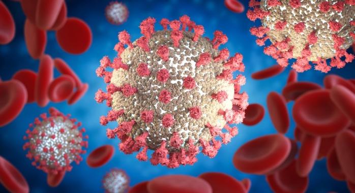 Як коронавірус «ламає» імунітет, розповіли вчені. Фото: izhevskinfo