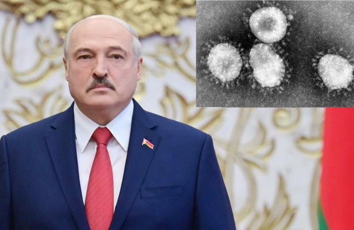 Новый штамм коронавируса обнаружили в Беларуси