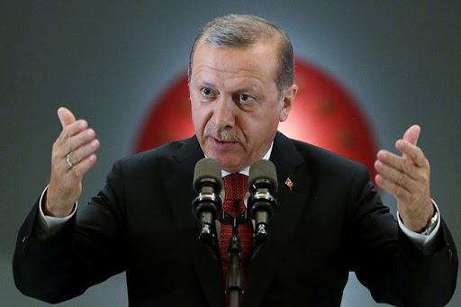 Эрдоган проклял правительство Австрии – в чем причина 