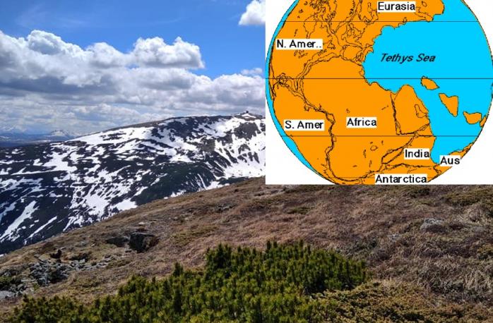 Камінь з прадавнього океану Тетіс знайшли на вершині Карпат