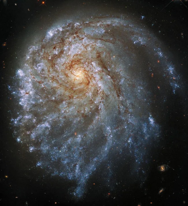Уникальную галактику обнаружил телескоп Hubble. Фото: NASA