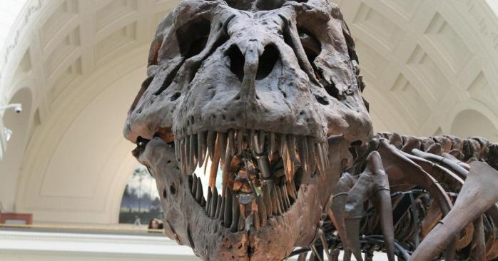 Тиранозавр – один із найвідоміших видів динозаврів