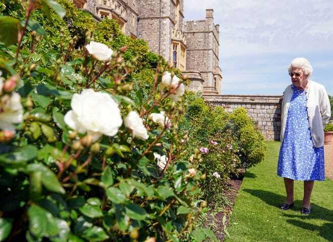 Елизавета II высадила новый сорт роз в честь покойного мужа. Фото: Express