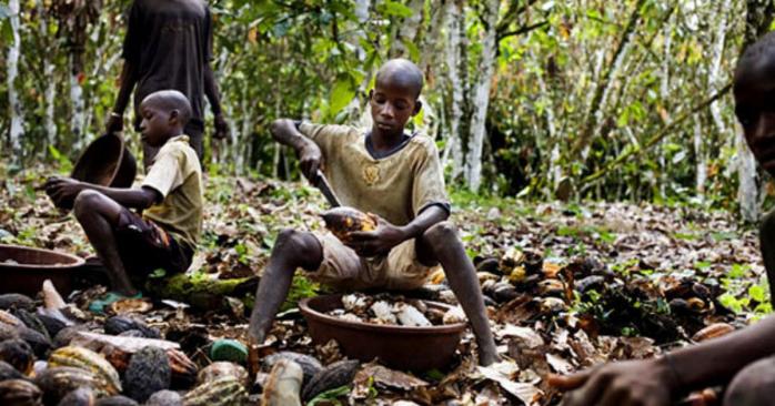 Американські компанії уникли покарання за використання праці дітей-рабів, фото: «Главтема»