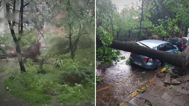 Негода у Львові затопила вулиці й повалила дерева. Фото: 24 канал
