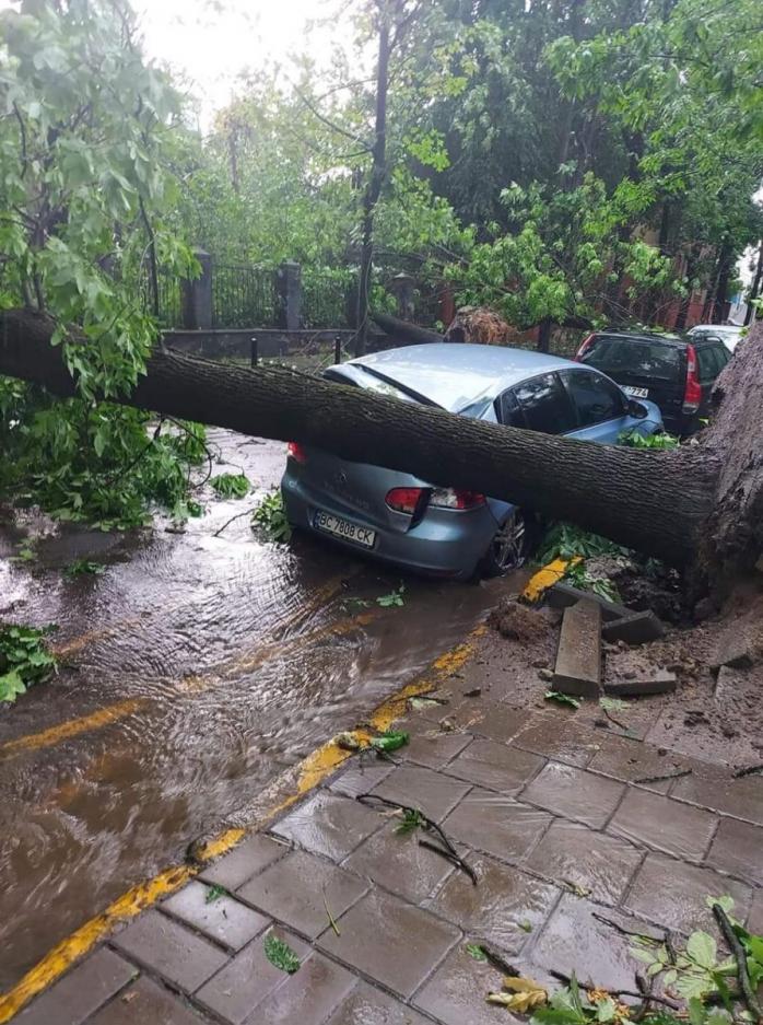 Буря во Львове. Фото: ФБ