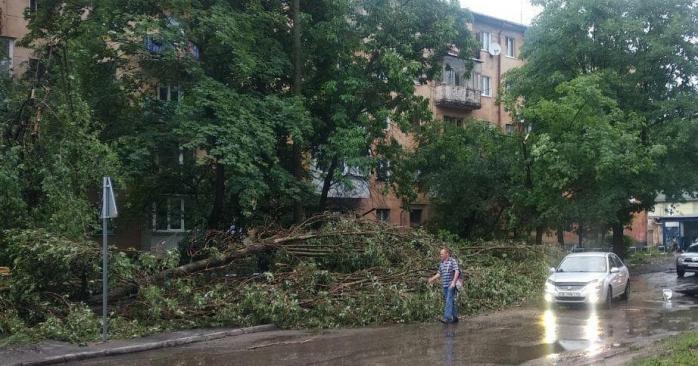 О последствиях шторма в Украине рассказали в ГСЧС. Фото: varta1.com.ua