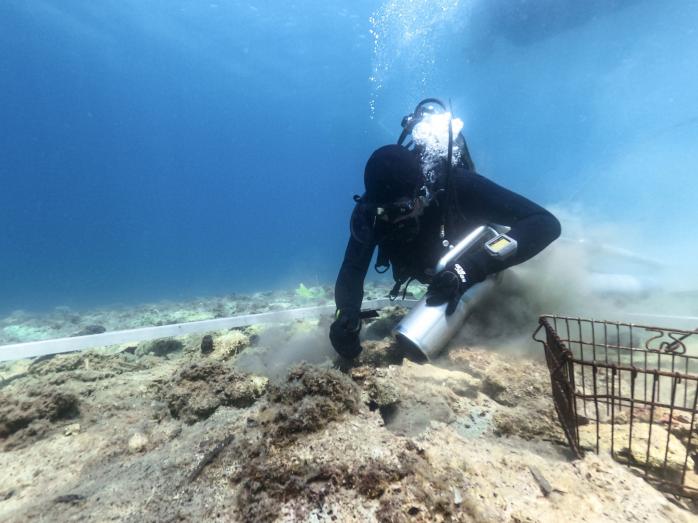 Унікальне стародавнє поселення знайшли підводні археологи в Хорватії. Фото: Reuters