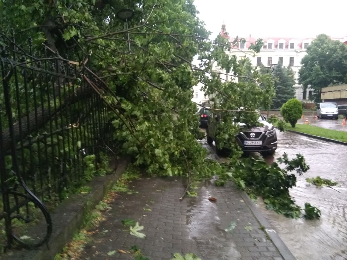 Непогода во Львове. Фото: Варта