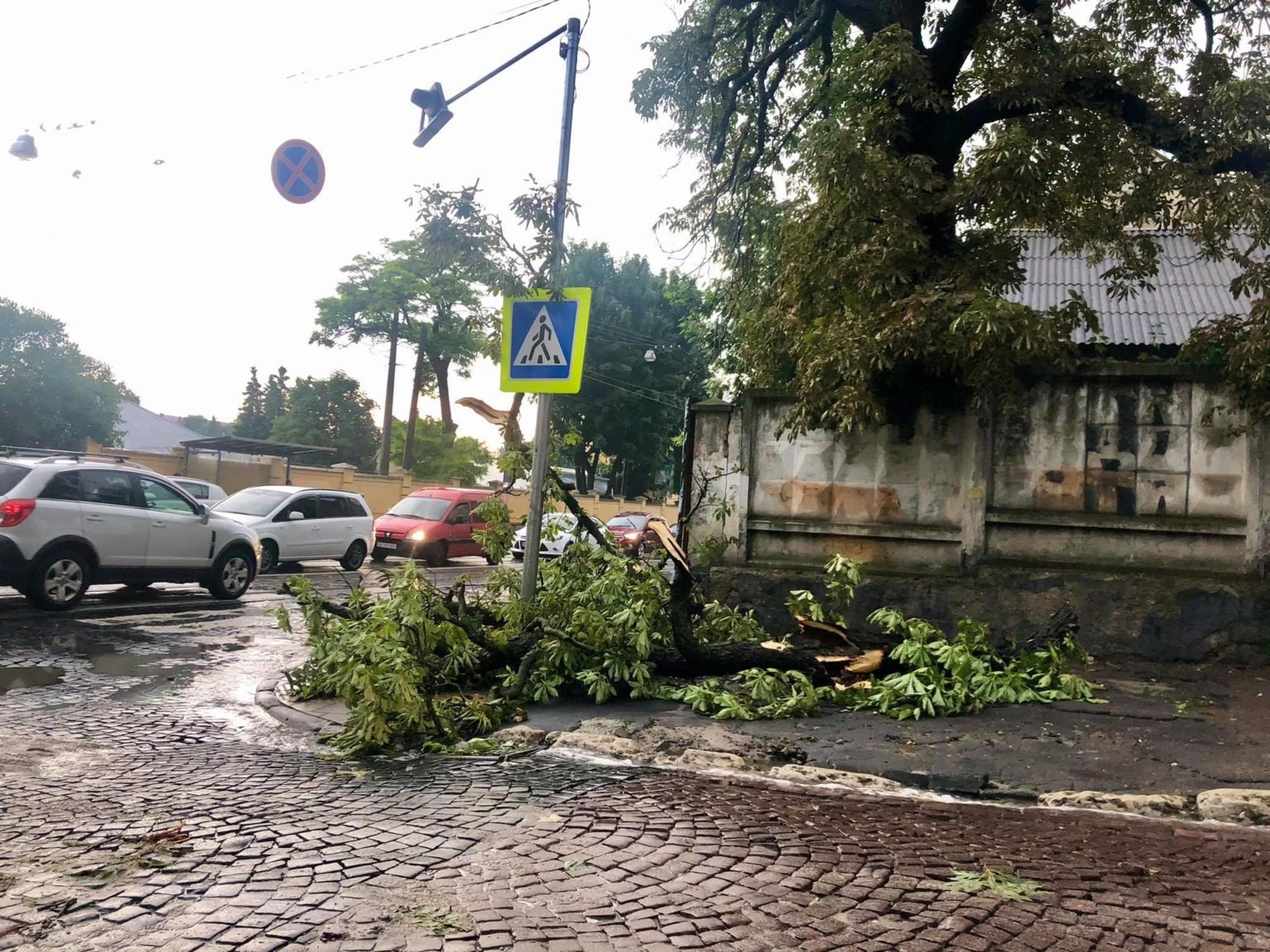Шторм у Львові. Фото: Варта