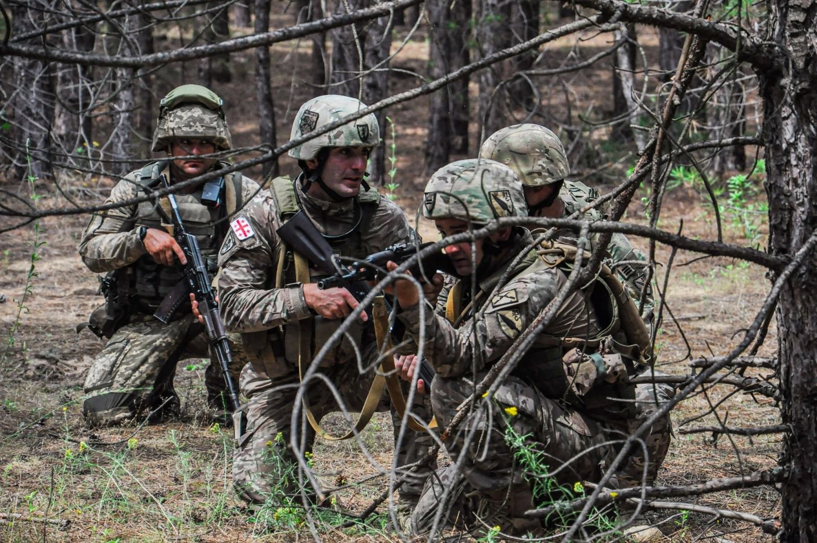 Морська піхота ЗСУ, США і Грузії атакувала тил противника. Фото: Міноборони