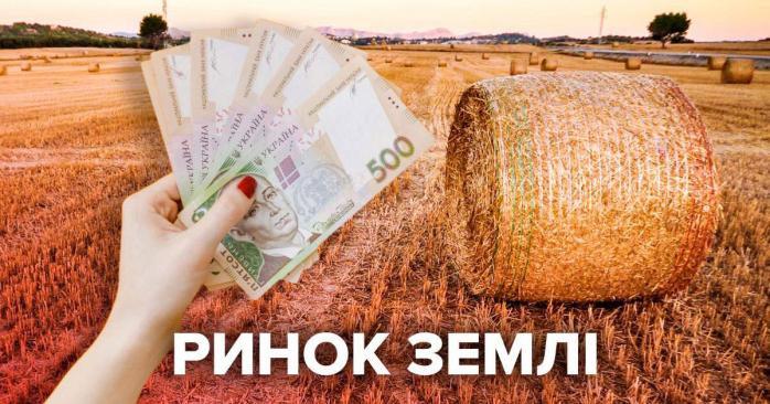 Цена земли в Украине будет повышаться ежегодно. Фото: 24 канал