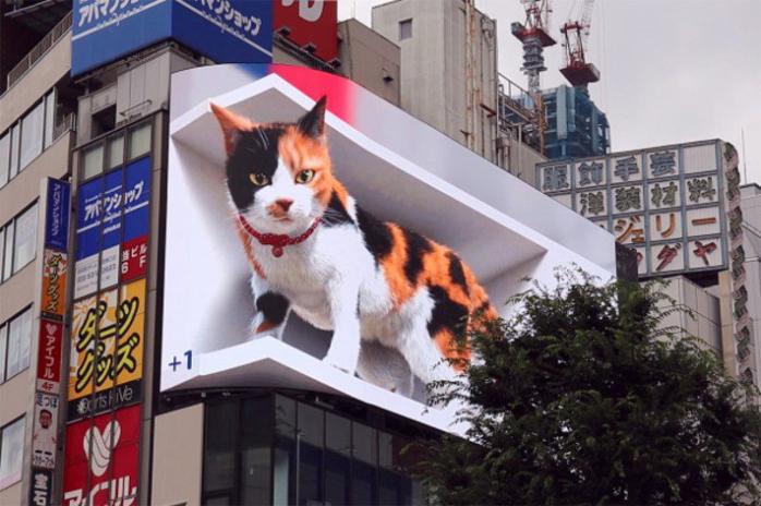 Гигантский 3D-кот удивил жителей Токио 