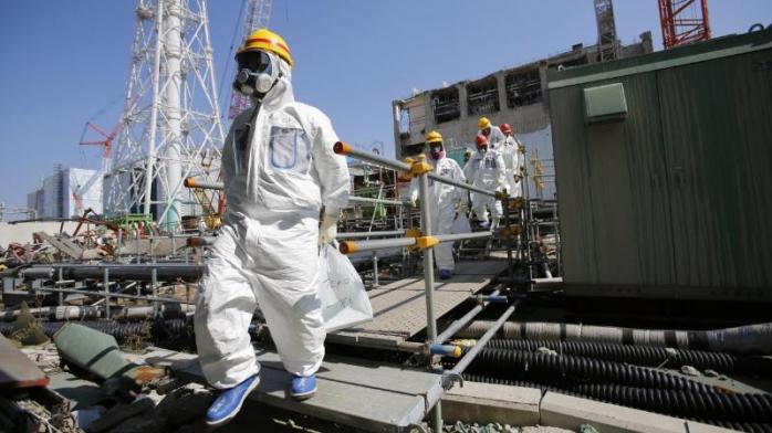 Новых животных-гибридов обнаружили на ядерном пустыре Фукусимы