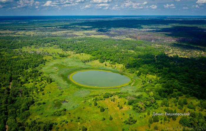 Озеро незвично круглої форми виявили у Чорнобильській зоні, фото: Денис Вишневский 