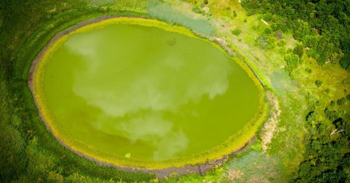 Озеро незвично круглої форми виявили у Чорнобильській зоні, фото: Денис Вишневский 