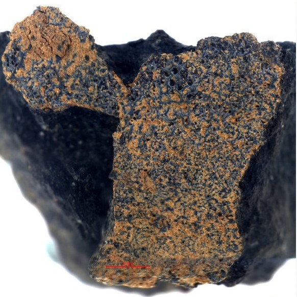 На поле в Англии редкий метеорит, фото: Университет Лафборо