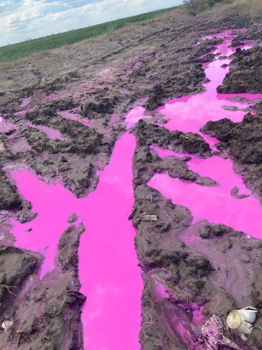 Рожеві калюжі на Рівненщині. Фото: ДСНС