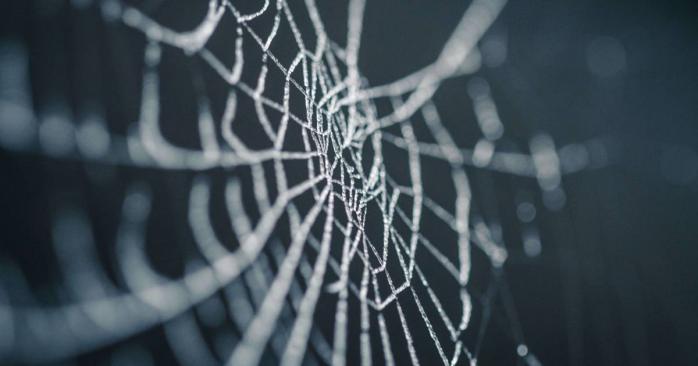 Штучна павутина виявилася міцнішою сталі та кевлара. Фото: tokar.ua
