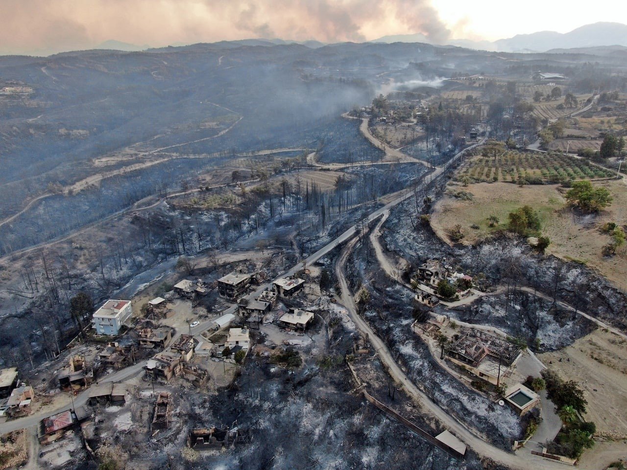 Пожар в Турции. Фото: Euronews