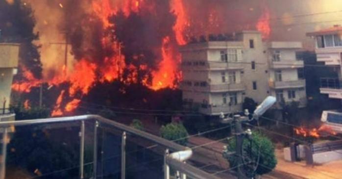 Туреччина страждає від масштабних пожеж, фото: ASPI