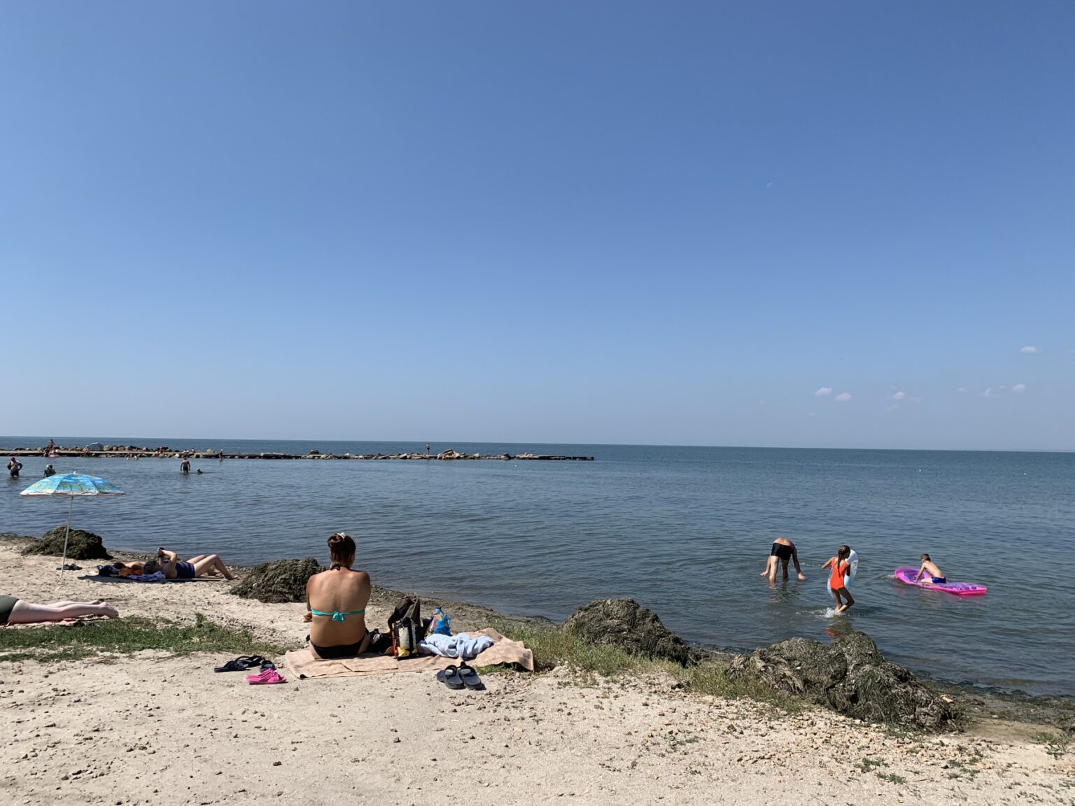 Тонны водорослей прибило на пляже Бердянска. Фото: PRO.berdiansk.biz