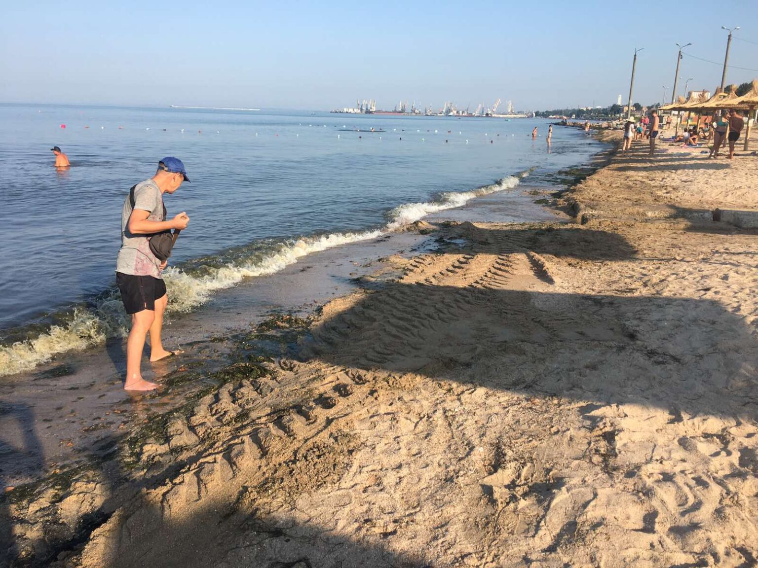 Тонны водорослей прибило на пляже Бердянска. Фото: PRO.berdiansk.biz