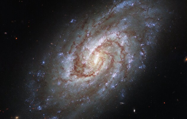 Знімок галактики. Фото: Hubble