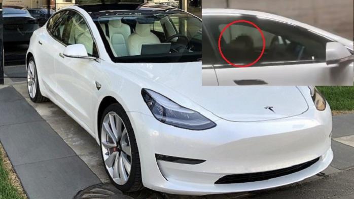 Автопілот зупинив Tesla після “відключки” п’яного водія у Норвегії