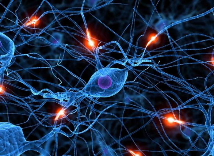 Як перенесений COVID-19 впливає на нервову систему – відповідь вчених. Фото: vz.kiev.ua