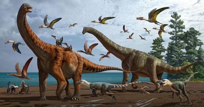 Два новых вида гигантских динозавров нашли в Китае