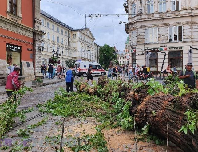 Ураган во Львове повалил деревья, улицы подтоплены 